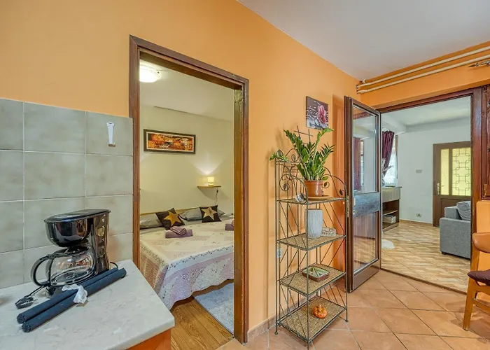 Apartment Pleasure *